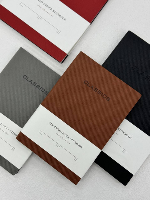 Ежедневник недатированный А5 100л, клетка, цвет ассорти