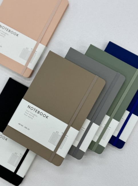 Ежедневник недатированный А5 100л, линия, цвет ассорти