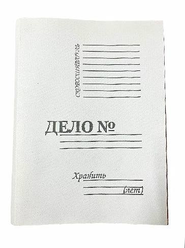 Папка-скоросшиватель 280 г/м2 "Дело№_", 675-04 (10)