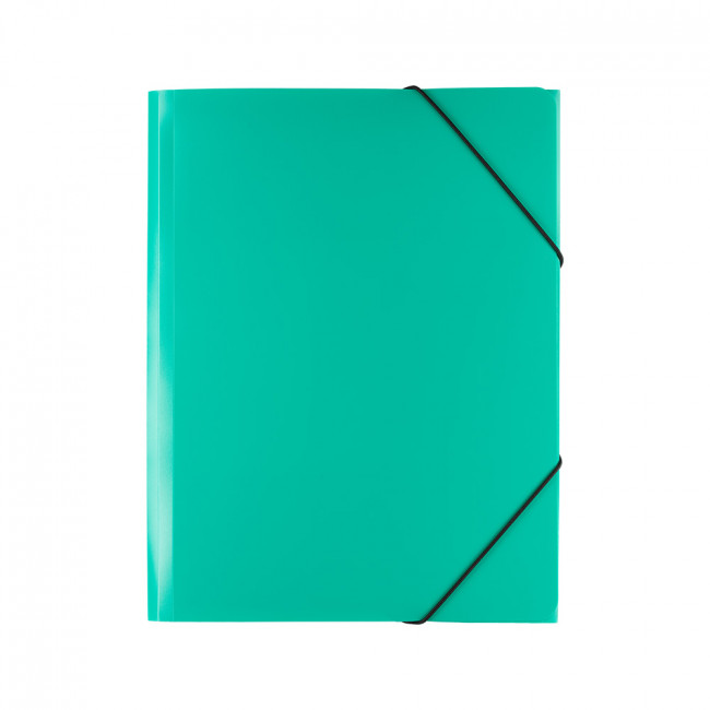 Папка А4 на резинке 450 мкр. 35 мм  Classic Lite зеленый, песок Expert Complete/ЕС2344453 (5/50)