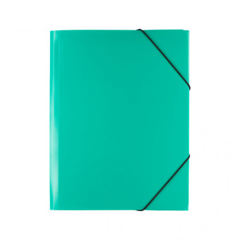 Папка   на резинке   "Expert Complete"   Classic Lite   А5   450 мкр.  25 мм  песок   . зеленый