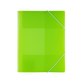 Папка на резинке "Expert Complete" NEON А4 550 мкр. 35 мм песок . лайм Папка на резинке "Expert Complete" NEON А4 550 мкр. 35 мм песок . лайм