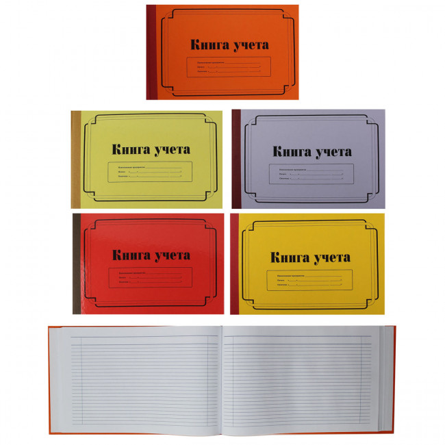 Книга учета, 100 листов, А4, горизонтальный, 190*295 мм, линия, офсет, склейка, ТБ-100/143383