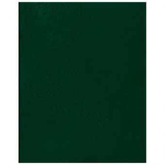 Тетрадь 96л., А5 клетка BG, бумвинил, зеленый, суперэконом