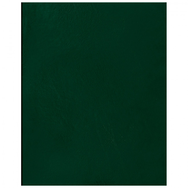 Тетрадь 96л., А5 клетка BG, бумвинил, зеленый, суперэконом