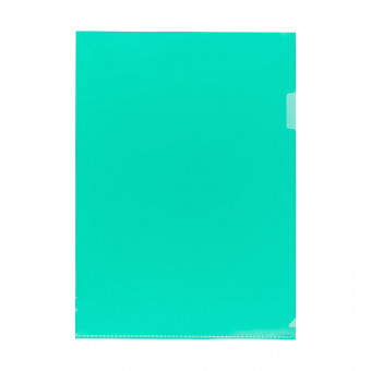 Папка-уголок "Expert Complete" Classic A4 120 мкм песок, зеленый