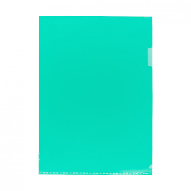 Папка-уголок "Expert Complete" Classic A4 120 мкм песок, зеленый