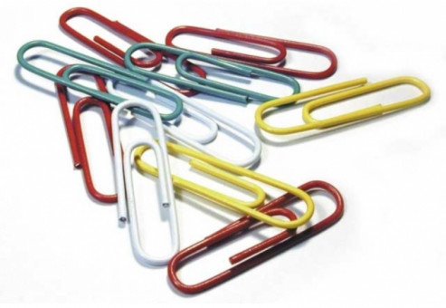 Скрепки цвет. 28 мм/100 шт. DOLCE COSTO (10)